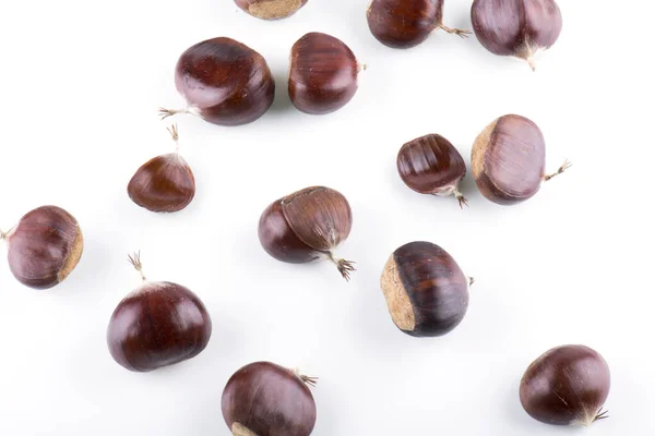 Fantasia Castagne Layout Creativo Castagne Isolate Sfondo Bianco Vista Dall — Foto Stock