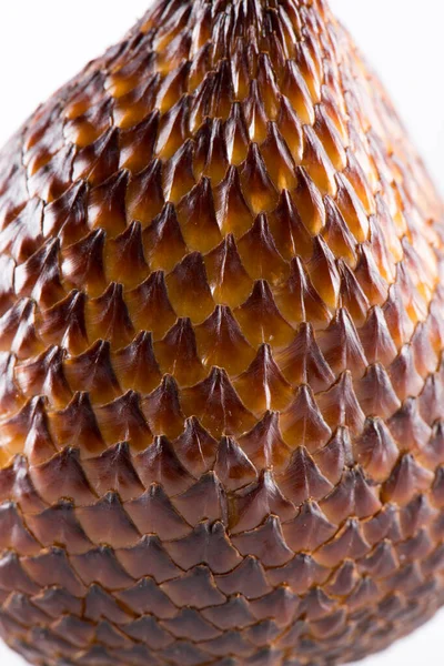 Yılan Puluna Benzeyen Meyvelerin Kahverengi Derisi — Stok fotoğraf
