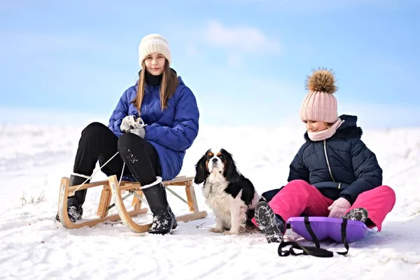 Twee Kleine Meisjes Met Slee Hond Winter — Stockfoto