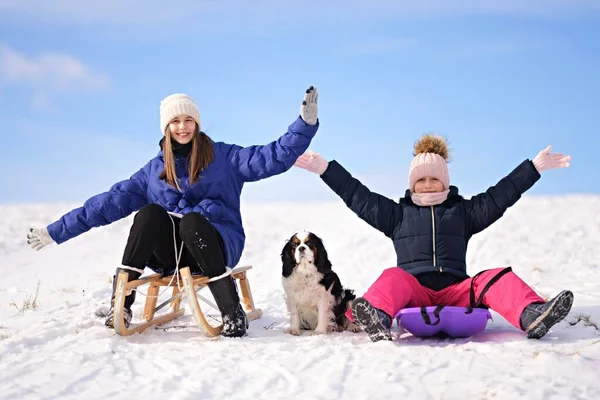两个小女孩冬天带着雪橇和狗 — 图库照片