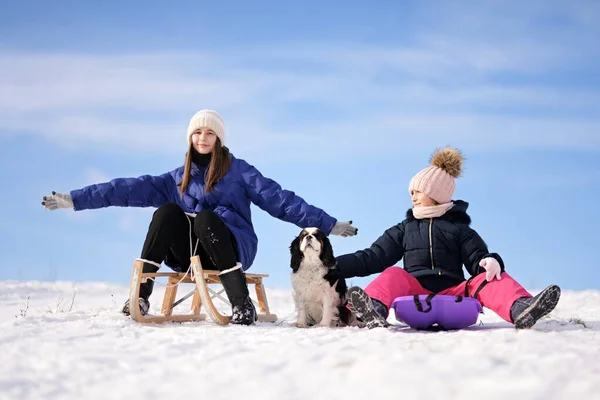 Twee Kleine Meisjes Met Slee Hond Winter — Stockfoto