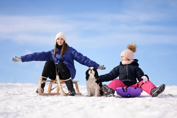 Deux Petites Filles Avec Traîneau Chien Hiver — Photo