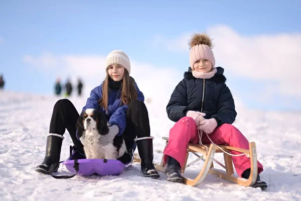 两个小女孩冬天带着雪橇和狗 — 图库照片