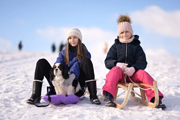 Дві Маленькі Дівчинки Санчатами Собакою Взимку — стокове фото