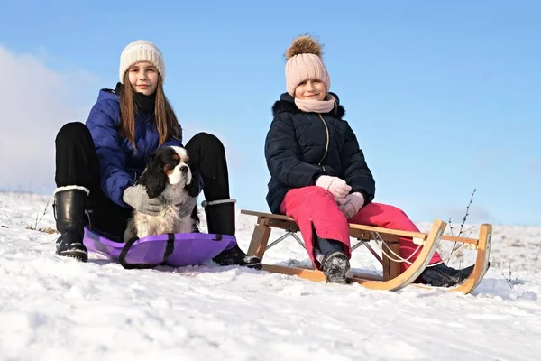 Δύο Μικρά Κορίτσια Έλκηθρο Και Σκύλο Χειμώνα — Φωτογραφία Αρχείου