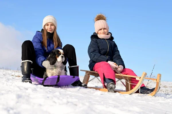 Twee Kleine Meisjes Met Slee Hond Winter — Stockfoto