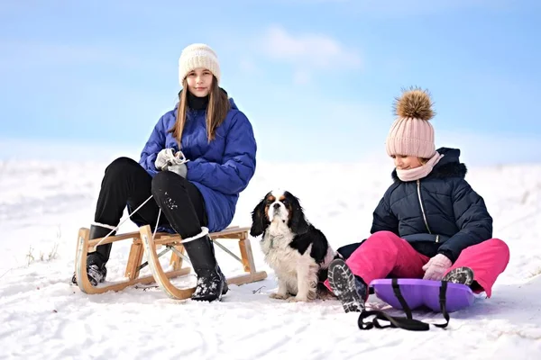 Twee Meisjes Met Sleeën Hond Winter — Stockfoto