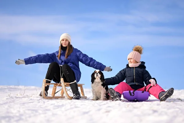 Twee Meisjes Met Sleeën Hond Winter — Stockfoto