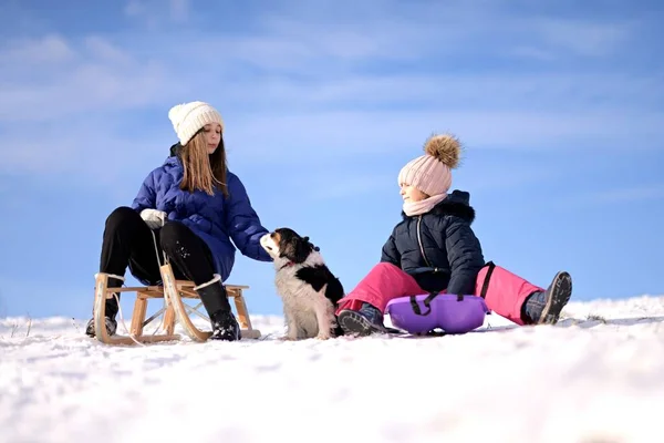 Twee Meisjes Met Sleeën Hond Winter — Stockfoto