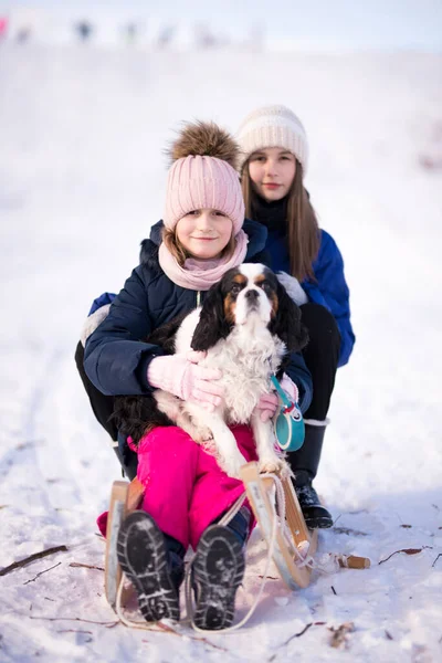 Kışın Kızaklı Köpekli Iki Kız — Stok fotoğraf