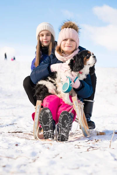 Kışın Kızaklı Köpekli Iki Kız — Stok fotoğraf