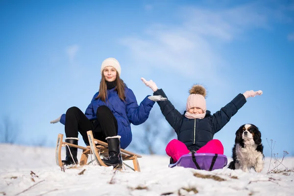两个女孩 冬天有雪橇和狗 — 图库照片
