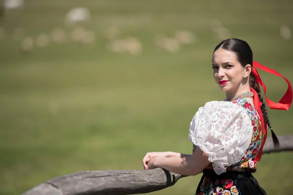 Прекрасна Жінка Традиційному Словацькому Фольклорному Костюмі — стокове фото