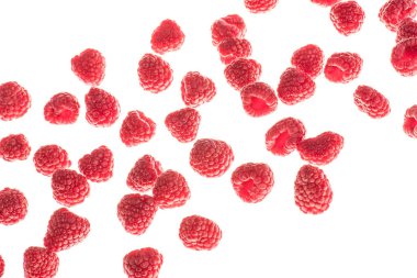 Beyaz arkaplanda ahududu