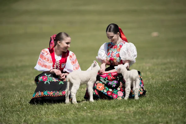 Young Beautiful Women Traditional Dress Lambs — Stock Photo, Image
