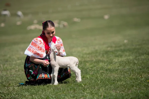 若い美しい女性が子羊と遊ぶ — ストック写真