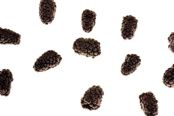 Black White Photo Lot Dried Coffee Beans Isolated Background — Zdjęcie stockowe