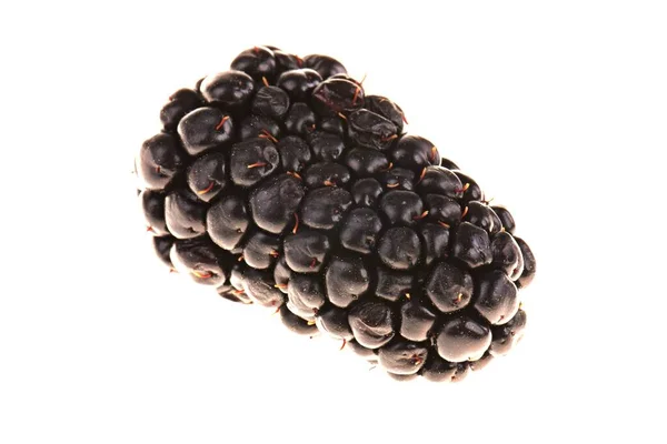 Close Studio Shot Organic Blackberries — Stock Photo, Image