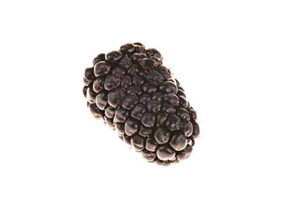 Close Studio Shot Organic Blackberries — Stock Photo, Image