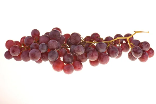 Ein Bündel Reifer Roter Trauben Isoliert Auf Weißem Grund — Stockfoto