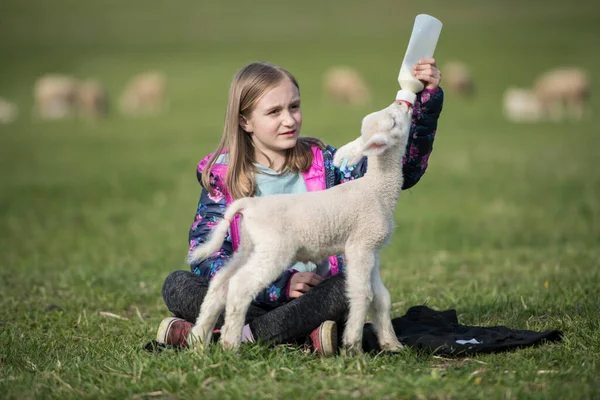 Slovak Folkloru Slovak Halk Kızı — Stok fotoğraf