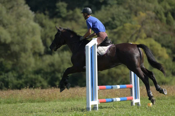 Ridning Tema Foto Hästsport — Stockfoto