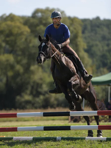 Ridning Tema Foto Hästsport — Stockfoto