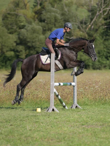 Fotografie Motivem Jízdy Koni Jezdecké Sporty — Stock fotografie