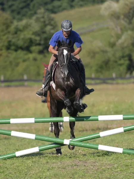 Equitação Foto Temática Esportes Equestres — Fotografia de Stock