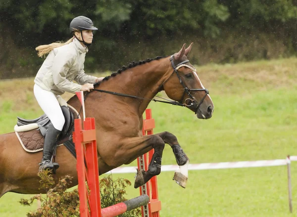 Show jumping — Stock Photo, Image