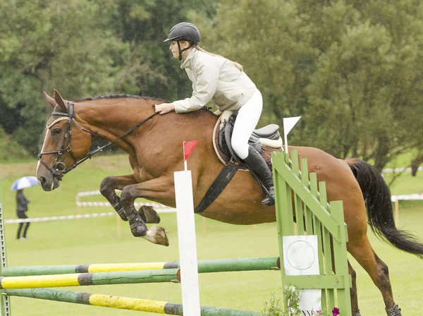 Show jumping — Stock Photo, Image