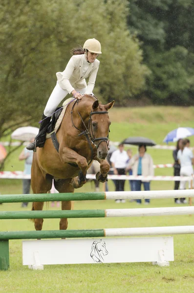 Show jumping — Stock Photo, Image