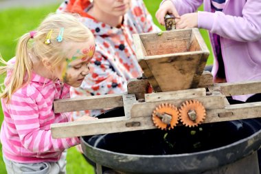 Üzüm hasat. Küçük çiftçi bağ içinde olgunlaşmış üzümler sonbaharda hasat