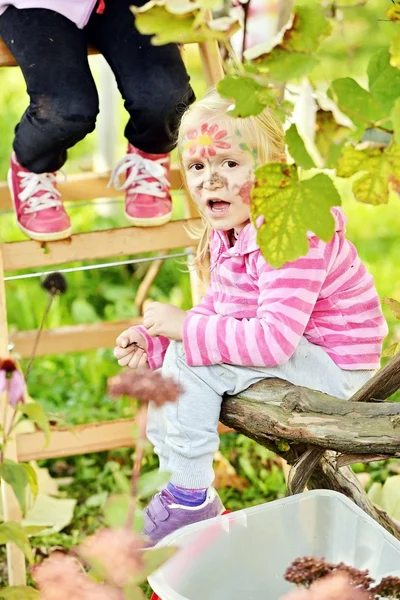 Druvor skörd. Lilla bonden skörden mogna druvor i vingården i höst — Stockfoto