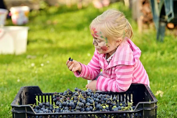 Meisje geplukt druiven — Stockfoto