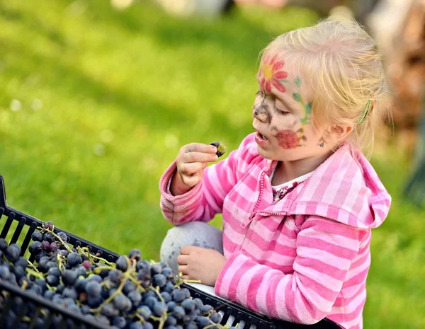 Girl picked grapes — Stock Photo, Image