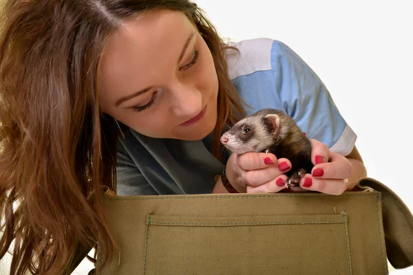 Veterinarian girl with ferret — Stock Photo, Image
