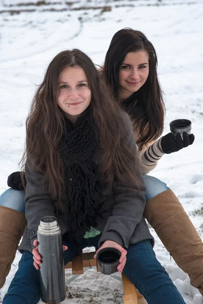 Two girlfriends sledge downhill — Stock Photo, Image