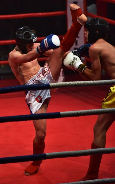 Fuerte luchador y su oponente durante una pelea en un ring Combat Fight Night —  Fotos de Stock