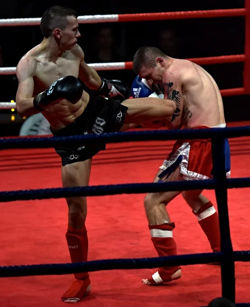 Fuerte luchador y su oponente durante una pelea en un ring Combat Fight Night — Foto de Stock