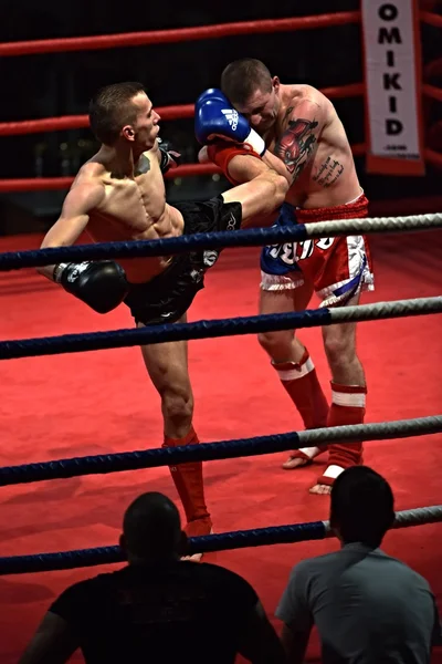 Strong fighter and his opponent during a fight in a ring Combat Fight Night — Stock Photo, Image