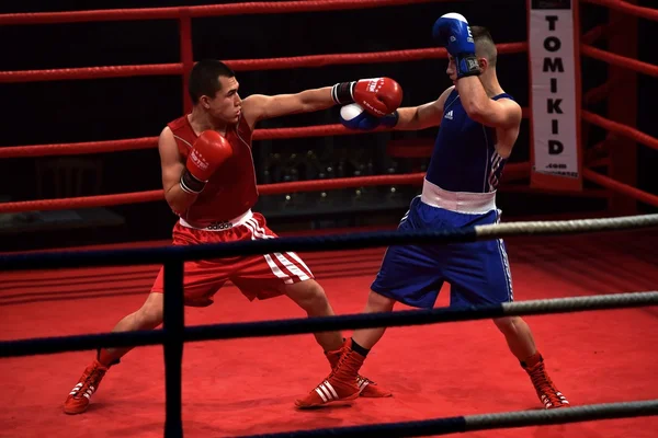 Fuerte luchador y su oponente durante una pelea en un ring Combat Fight Night —  Fotos de Stock