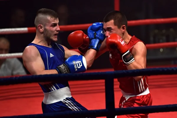 Strong fighter and his opponent during a fight in a ring Combat Fight Night — Stock Photo, Image