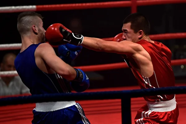 Fuerte luchador y su oponente durante una pelea en un ring Combat Fight Night — Foto de Stock