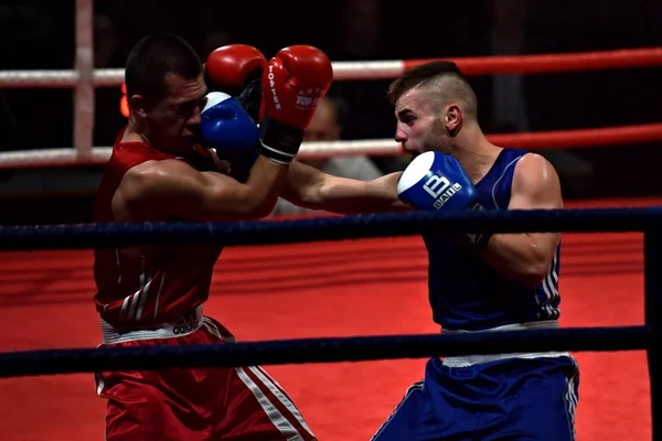 Strong fighter and his opponent during a fight in a ring Combat Fight Night — Stock Photo, Image