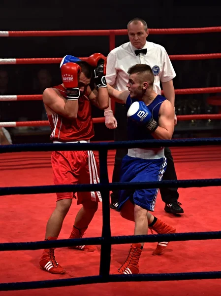 Fuerte luchador y su oponente durante una pelea en un ring Combat Fight Night — Foto de Stock