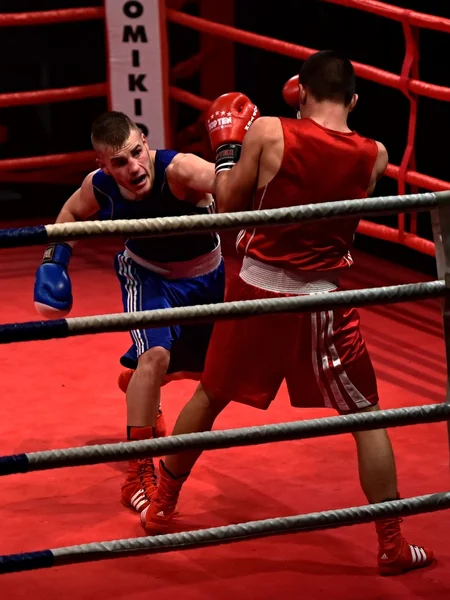 Fuerte luchador y su oponente durante una pelea en un ring Combat Fight Night —  Fotos de Stock