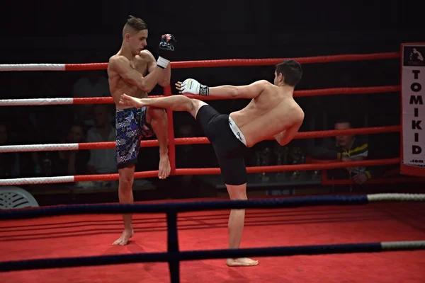 Fuerte luchador y su oponente durante una pelea en un ring Combat Fight Night — Foto de Stock
