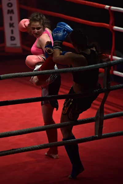 Women fighters during a fight in a ring Combat Fight Night — Stock Photo, Image