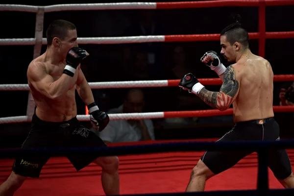Sterke vechter en zijn tegenstander tijdens een gevecht in een ring Combat vechten nacht — Stockfoto